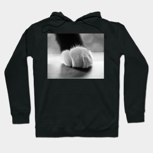 Tuxedo cat paw black and white Hoodie